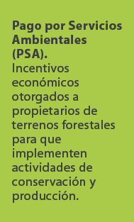 Pago por Servicios Ambientales (PSA). Incentivos econ micos otorgados a propietarios de terrenos forestales para que ...