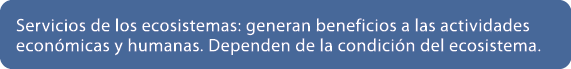 Servicios de los ecosistemas: generan beneficios a las actividades econ micas y humanas. Dependen de la condici n del...