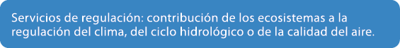 Servicios de regulaci n: contribuci n de los ecosistemas a la regulaci n del clima, del ciclo hidrol gico o de la cal...