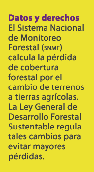 Datos y derechos El Sistema Nacional de Monitoreo Forestal (snmf) calcula la p rdida de cobertura forestal por el cam...