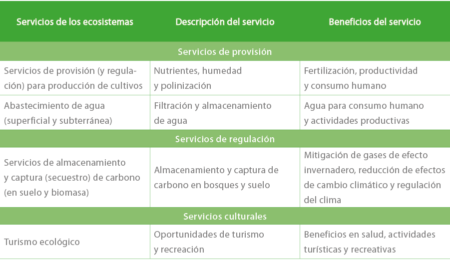 Servicios de los ecosistemas,Descripci n del servicio,Beneficios del servicio,Servicios de provisi n,Servicios de pro...