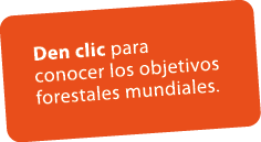 Den clic para conocer los objetivos forestales mundiales.