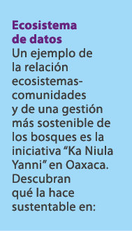 Ecosistema de datos Un ejemplo de la relaci n ecosistemas comunidades y de una gesti n m s sostenible de los bosques ...