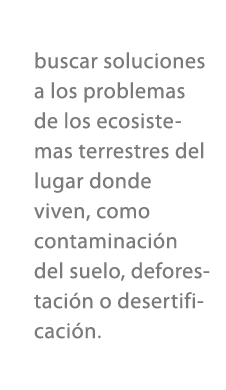 buscar soluciones a los problemas de los ecosistemas terrestres del lugar donde viven, como contaminaci n del suelo, ...