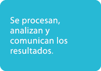 Se procesan, analizan y comunican los resultados.