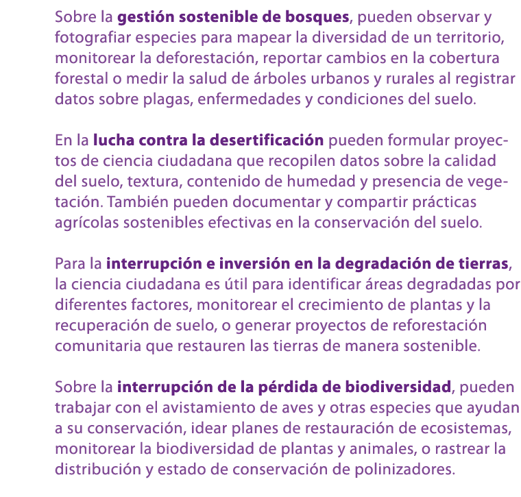 Sobre la gesti n sostenible de bosques, pueden observar y fotografiar especies para mapear la diversidad de un territ...