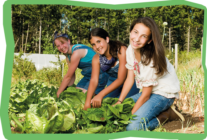 Three teenage girls harvesting plants in the garden. Shot at Chicken'lypse.