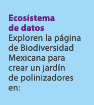 Ecosistema de datos Exploren la p gina de Biodiversidad Mexicana para crear un jard n de polinizadores en: