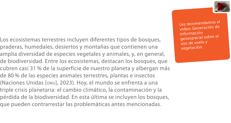 Los ecosistemas terrestres incluyen diferentes tipos de bosques, praderas, humedales, desiertos y monta as que contie...