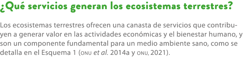 ¿Qu servicios generan los ecosistemas terrestres? Los ecosistemas terrestres ofrecen una canasta de servicios que co...
