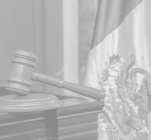 Courtroom setting with a wooden gavel and the Mexican flag in the background, symbolizing Mexican law and justice.