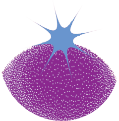 Universal trend textured geometric shapes set juxtaposed with bright bold elements composition. Design objects for Magazine, leaflet, billboard, sale