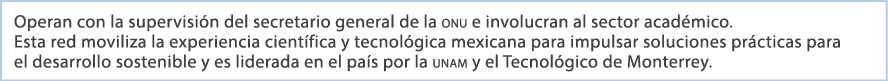 Operan con la supervisi n del secretario general de la onu e involucran al sector acad mico. Esta red moviliza la exp...