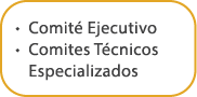 • Comit Ejecutivo • Comites T cnicos Especializados