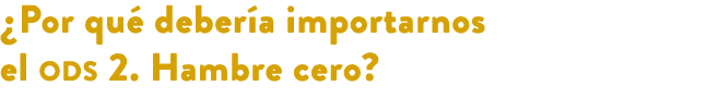 ¿Por qu deber a importarnos el ods 2. Hambre cero?