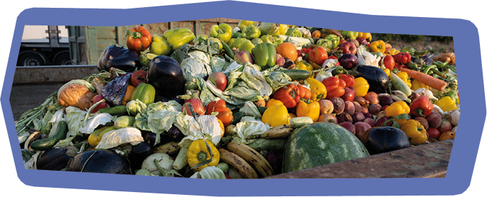 Bio Waste of Expired Vegetables in a huge container, Organic mix in a rubbish bin. Heap of Compost from vegetables or food for animals.
