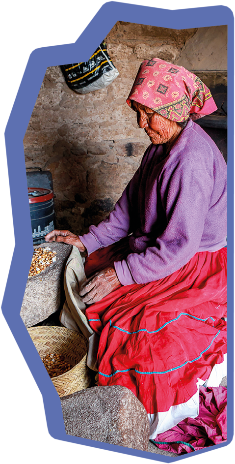 Sierra Tarahumara, Chihuahua, Mexico, January 20 -- Life conditions of an farmer elderly woman of the Raramuri (Tarahumara) ethnic group in the farmers community of Carichi, in the Sierra Tarahumara of the Mexican state of Chihuahua, an area very affected by drought, famine and the consequences of climate change. In the photo, the elderly woman works on an ancestral “metate" to grind corn.