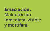 Emaciaci n. Malnutrici n inmediata, visible y mort fera.