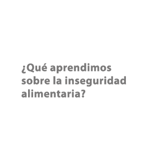 ¿Qu aprendimos sobre la inseguridad alimentaria?
