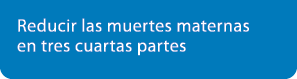 Reducir las muertes maternas en tres cuartas partes
