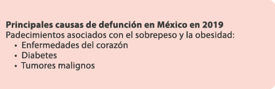 Principales causas de defunci n en M xico en 2019 Padecimientos asociados con el sobrepeso y la obesidad: • Enfermeda...