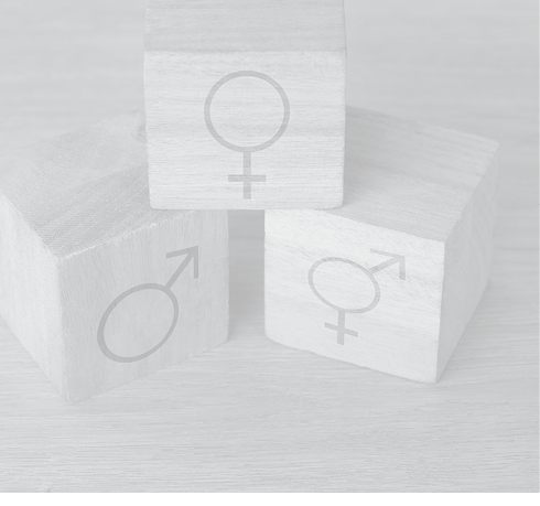 Wood block, transgender and sex equality backgrounds of male, female and lgbtq identity sign, choice and symbols. Closeup design of gender icons cube, social binary transformation and sexuality label