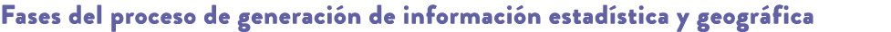 Fases del proceso de generaci n de informaci n estad stica y geogr fica