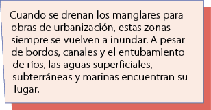 Cuando se drenan los manglares para obras de urbanizaci n, estas zonas siempre se vuelven a inundar. A pesar de bordo...