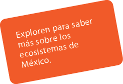 Exploren para saber m s sobre los ecosistemas de M xico. 