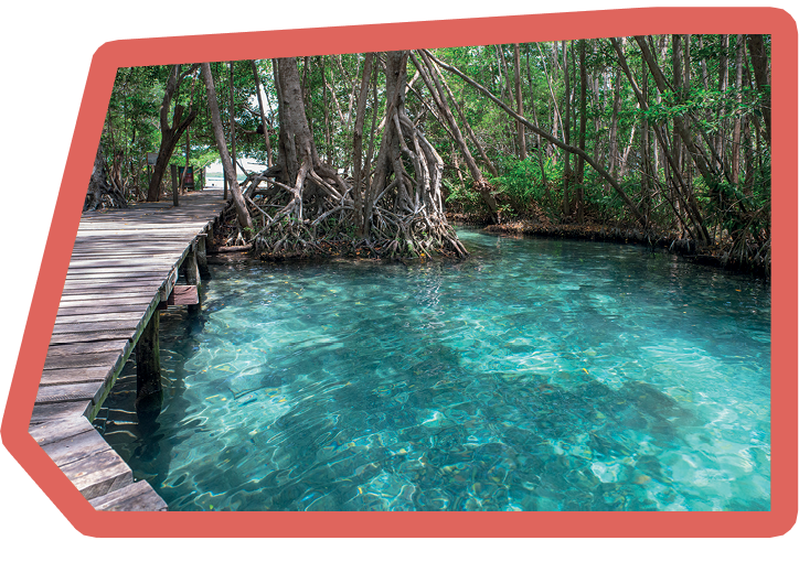 “Ojo de agua" in Celestun, Mexico. Natural lagoon where people swim in a fresh water. Water come from underground.