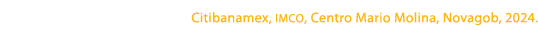 Citibanamex, imco, Centro Mario Molina, Novagob, 2024.