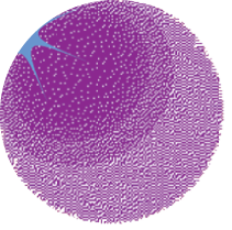 Universal trend textured geometric shapes set juxtaposed with bright bold elements composition. Design objects for Magazine, leaflet, billboard, sale