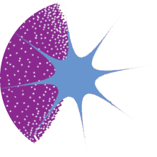 Universal trend textured geometric shapes set juxtaposed with bright bold elements composition. Design objects for Magazine, leaflet, billboard, sale