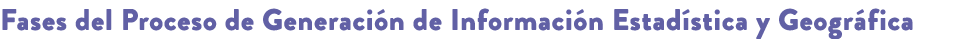 Fases del Proceso de Generaci n de Informaci n Estad stica y Geogr fica