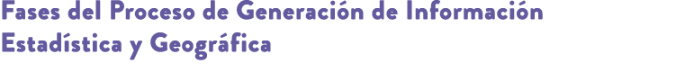 Fases del Proceso de Generaci n de Informaci n Estad stica y Geogr fica