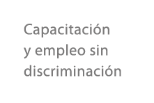 Capacitaci n y empleo sin discriminaci n
