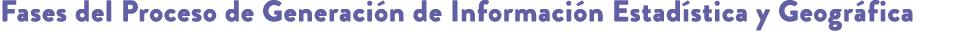 Fases del Proceso de Generaci n de Informaci n Estad stica y Geogr fica